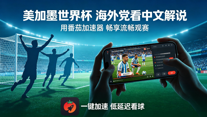 在新加坡看抖音世界杯中文直播海外无法观看教程